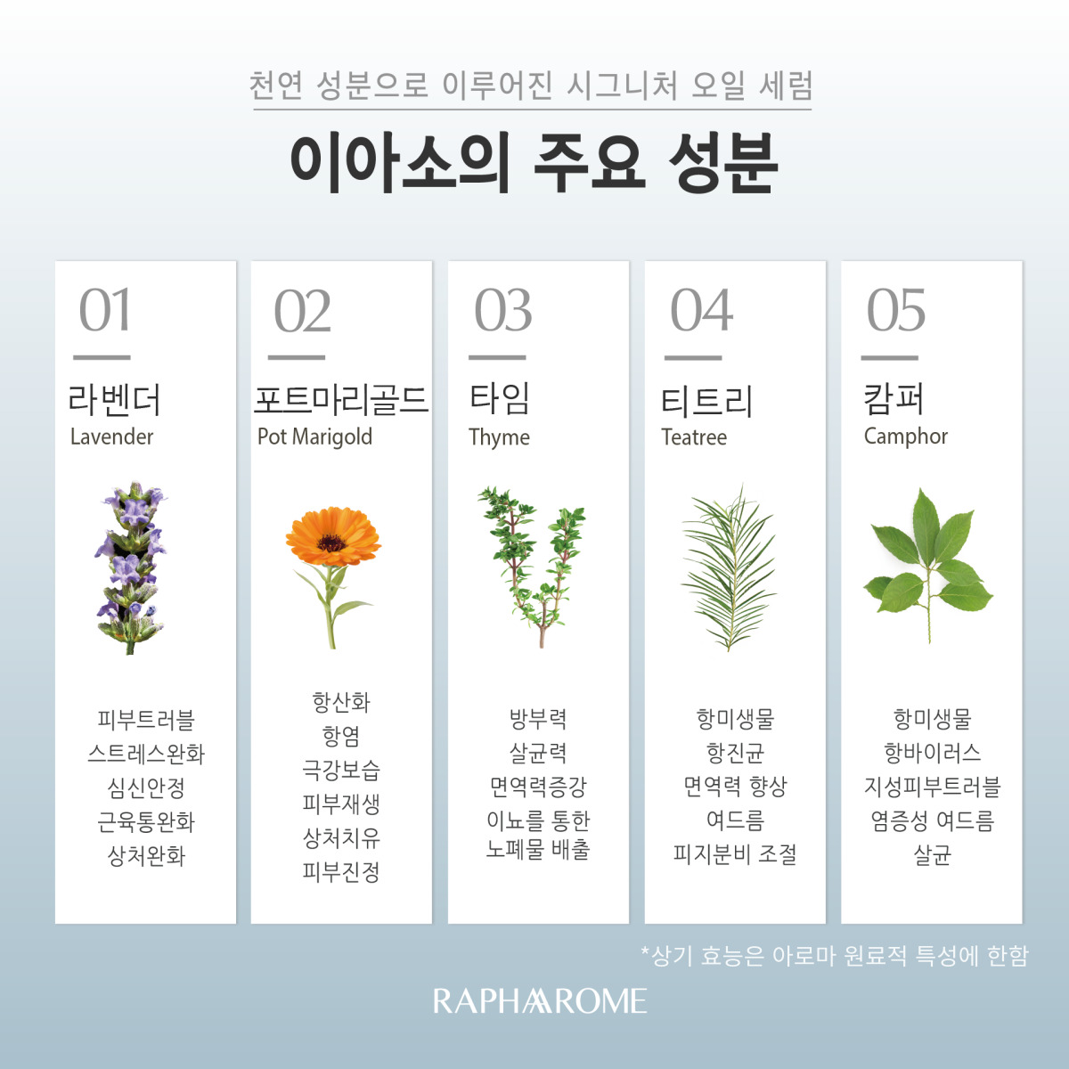 KakaoTalk_20231129_151850892_03.jpg