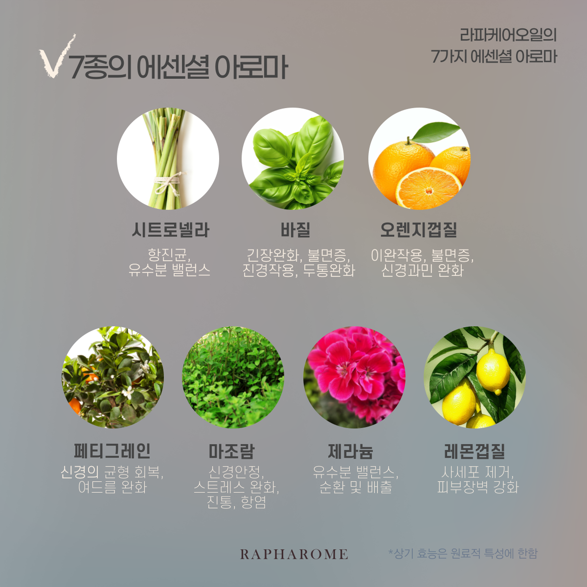KakaoTalk_20231129_151911693_05.png
