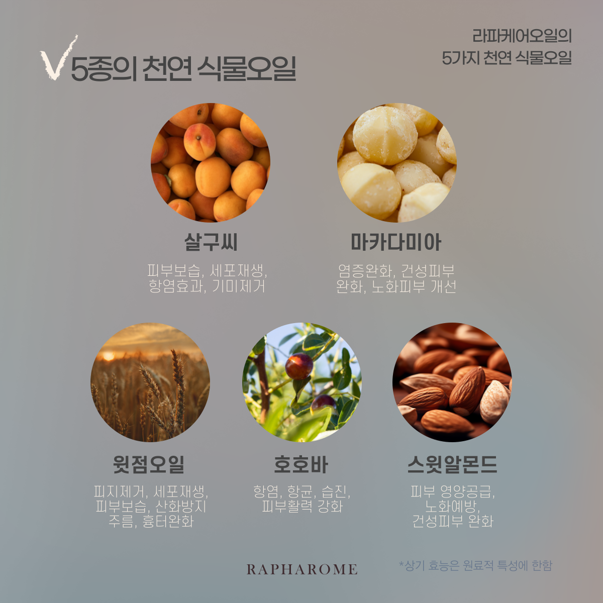 KakaoTalk_20231129_151911693_06.png
