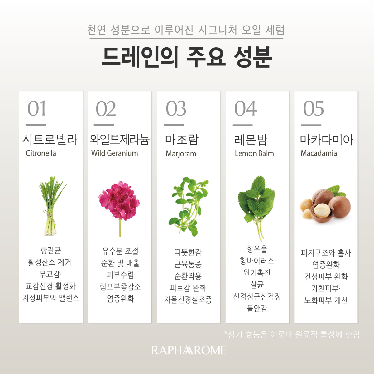KakaoTalk_20231129_151715074_04.jpg