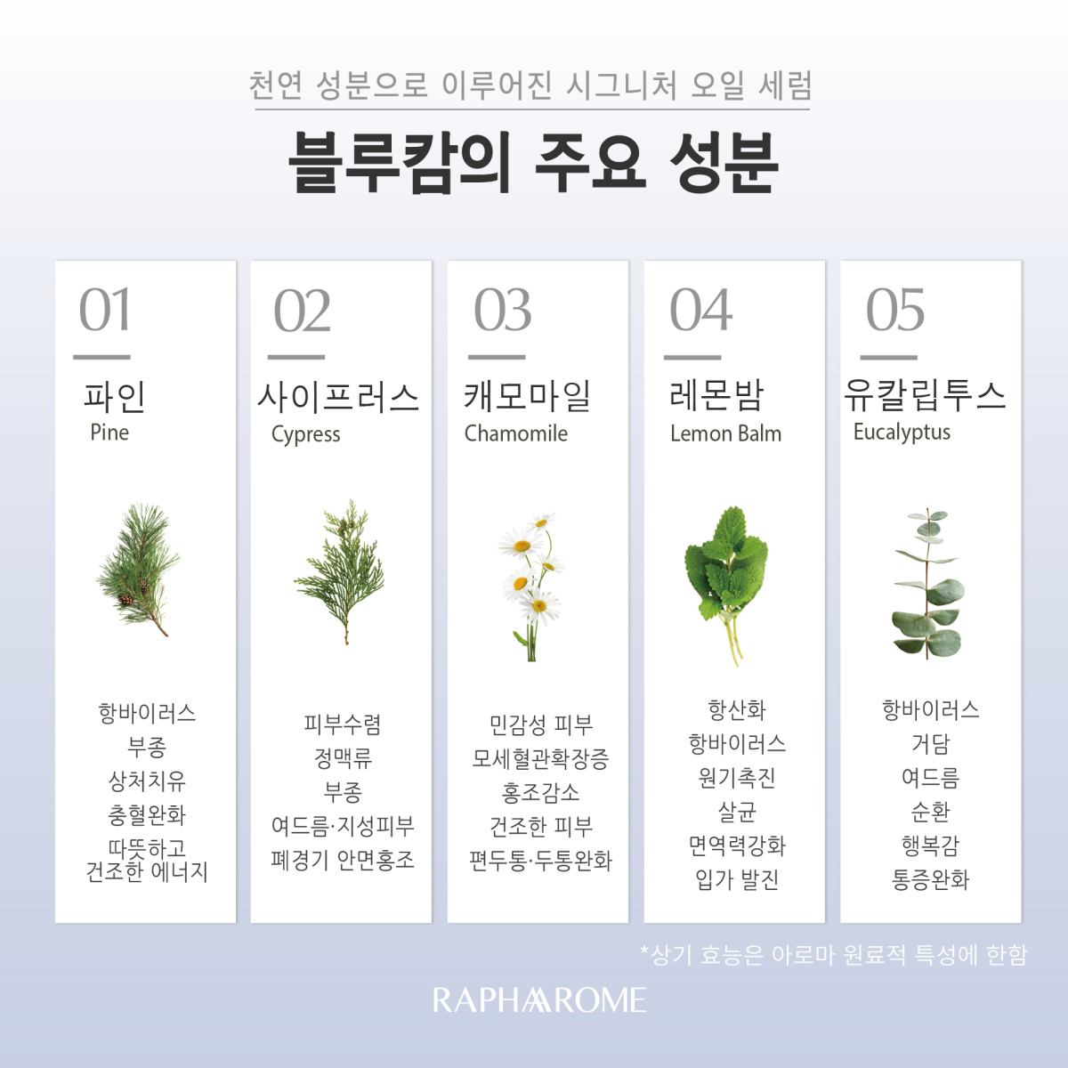 KakaoTalk_20231129_151828706_03.jpg