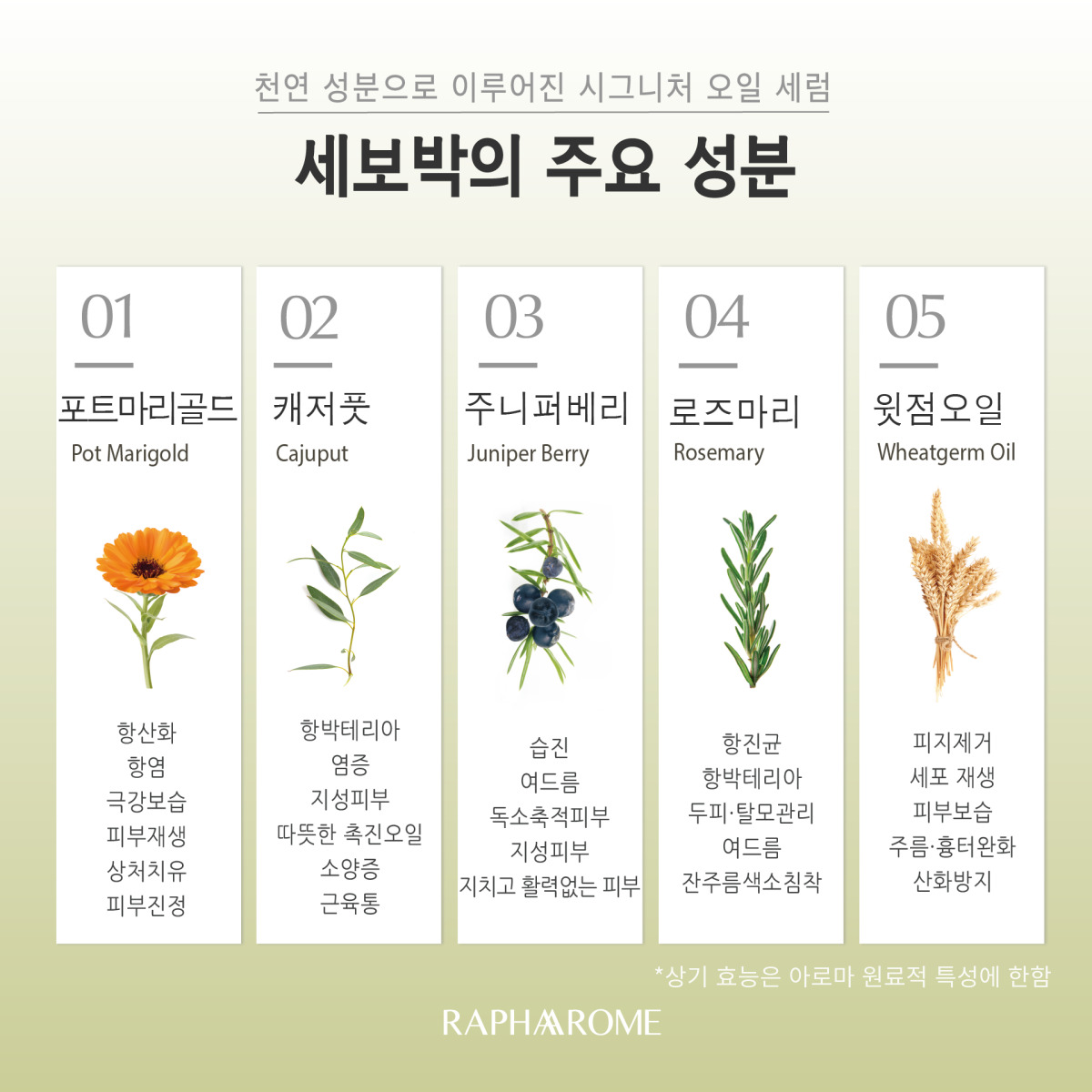 KakaoTalk_20231129_151833522_04.jpg