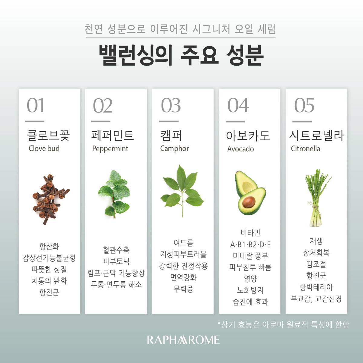 KakaoTalk_20231129_151842246_04.jpg